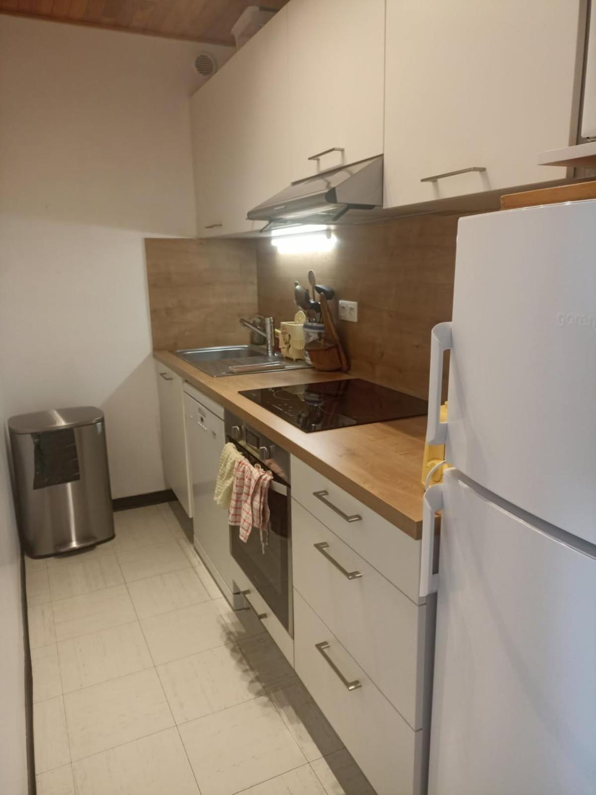 Appartement Au Pied Des Pistes ピュイ・サン・ヴァンサン エクステリア 写真